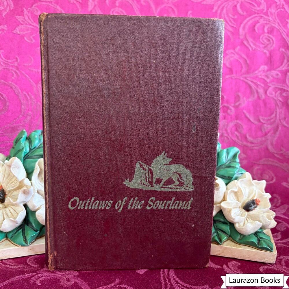 1953 Outlaws of the Sourland by Keith Robertson, Vintage Illustrated Book